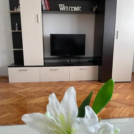 Apartment Peaceful And Spacious With Free Parking *